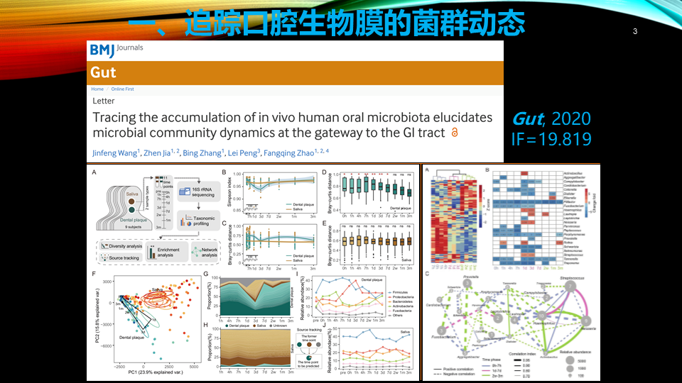 追踪口腔生物膜的菌群动态