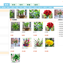 线上鲜花商城
