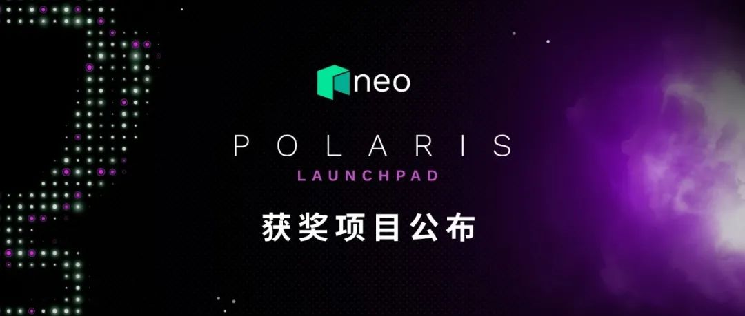 获奖名单正式出炉！｜Neo Polaris Launchpad 全球黑客松