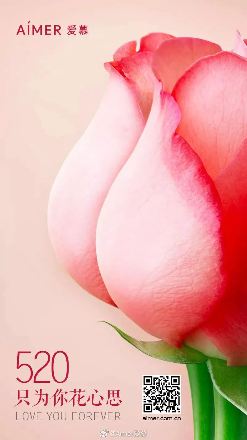 d67765f1fd9a1285053217aa3983982e.webp