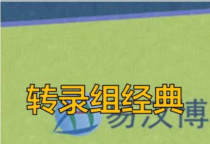 2e86ba607d82620b98564b8c946a3645.webp