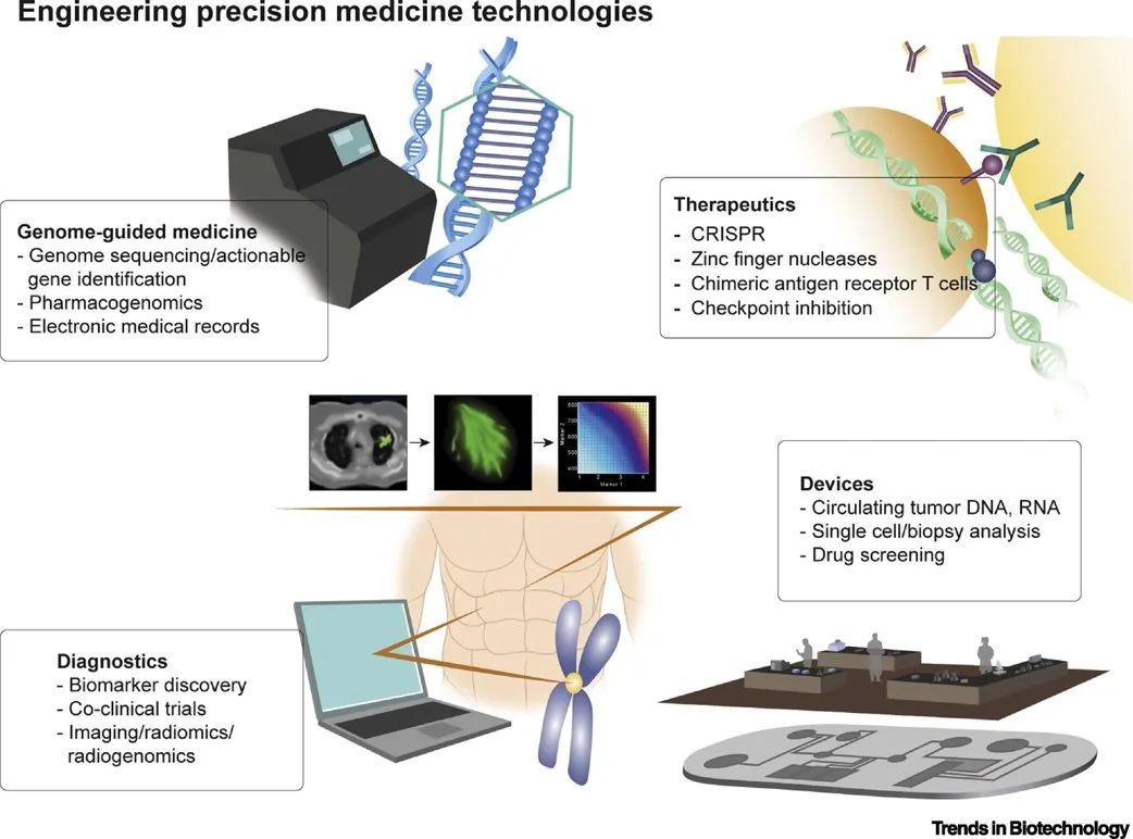 celltrends综述精选人工智能在生物医学领域的应用