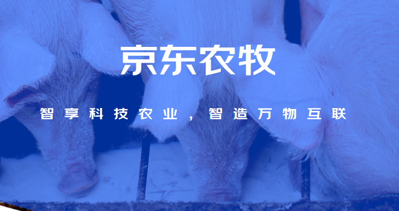 因此,京东农牧所提供的养猪解决方案主要聚焦两方面:一是提供专业数据