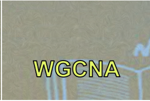 0d704e610dce0bdf60f7e922ec1f167c.webp