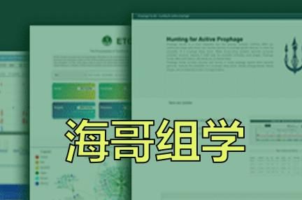 9c2b376642e3577b8bc033ace09773d6.webp