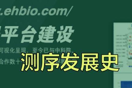 dd2e53405c48c5c4537f69fd147e4910.webp