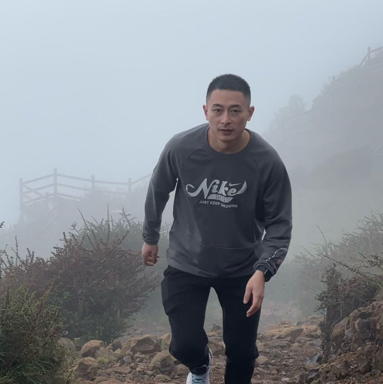 成都厉害宠物有限公司 前端
