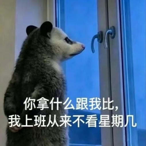 华为od 软件开发工程师