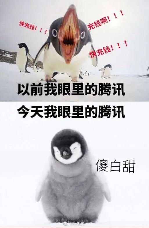 ad696fc6480697f33a8cfa70418d2df1.webp