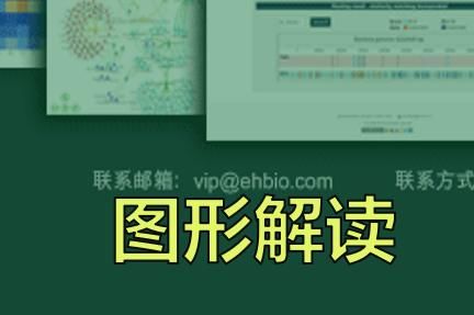 27015b500342fd3f2bc77178b617bc8f.webp