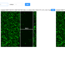 定制化生物图片处理