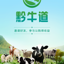 黔牛道APP