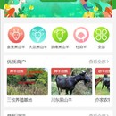 易只羊