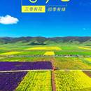 雄安文旅
