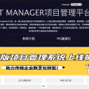IT Manager项目管理工具