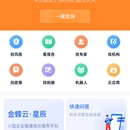 查税宝（APP）