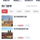去海外网webbapp