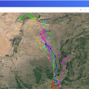 鸟类迁徙数据服务平台