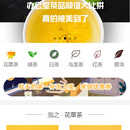 泡之茶