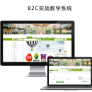 B2C电商教学软件