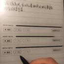 慧译系统(科大讯飞股份有限公司)