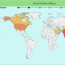 蜜蜂基因家族可视化系统