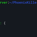 PhoenixKiller