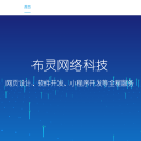 上海布灵网络科技中心官网