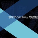 京东JDOS部署平台