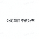 公司项目不便公布
