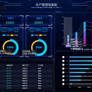 某公司驾驶舱项目