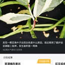 慧植农当家app开发