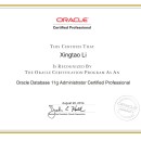 阿里云ECS Oracle RAC数据库优化项目