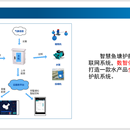 智慧鱼塘系统