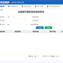国家医保编码项目