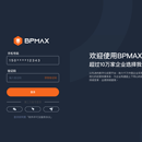 BPMAX 系统