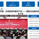 重庆司法门户项目