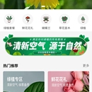 卉易购APP，与小程序开发