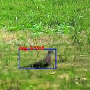 激光驱鸟系统飞鸟检测跟踪算法