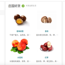 蔬果庄园