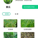 农业植保