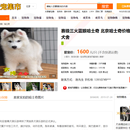 爱宠集市
