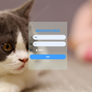 基于Java+SpringMVC+vue+element宠物管理系统