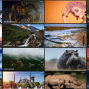 基于360图源制作的一个壁纸网站