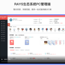 RAYS生态系统管理端