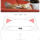 可喵