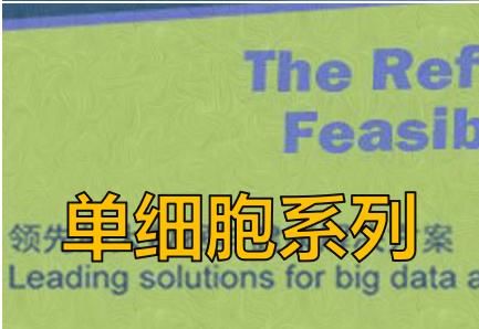 02aae0352b80b8af58d8cad0c582698d.webp