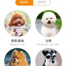 宠家密友