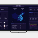 大屏数据可视化系统