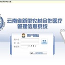 云南省新型农村合作医疗信息管理系统